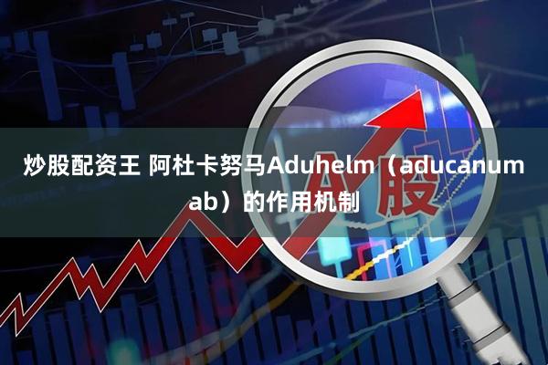 炒股配资王 阿杜卡努马Aduhelm（aducanumab）的作用机制